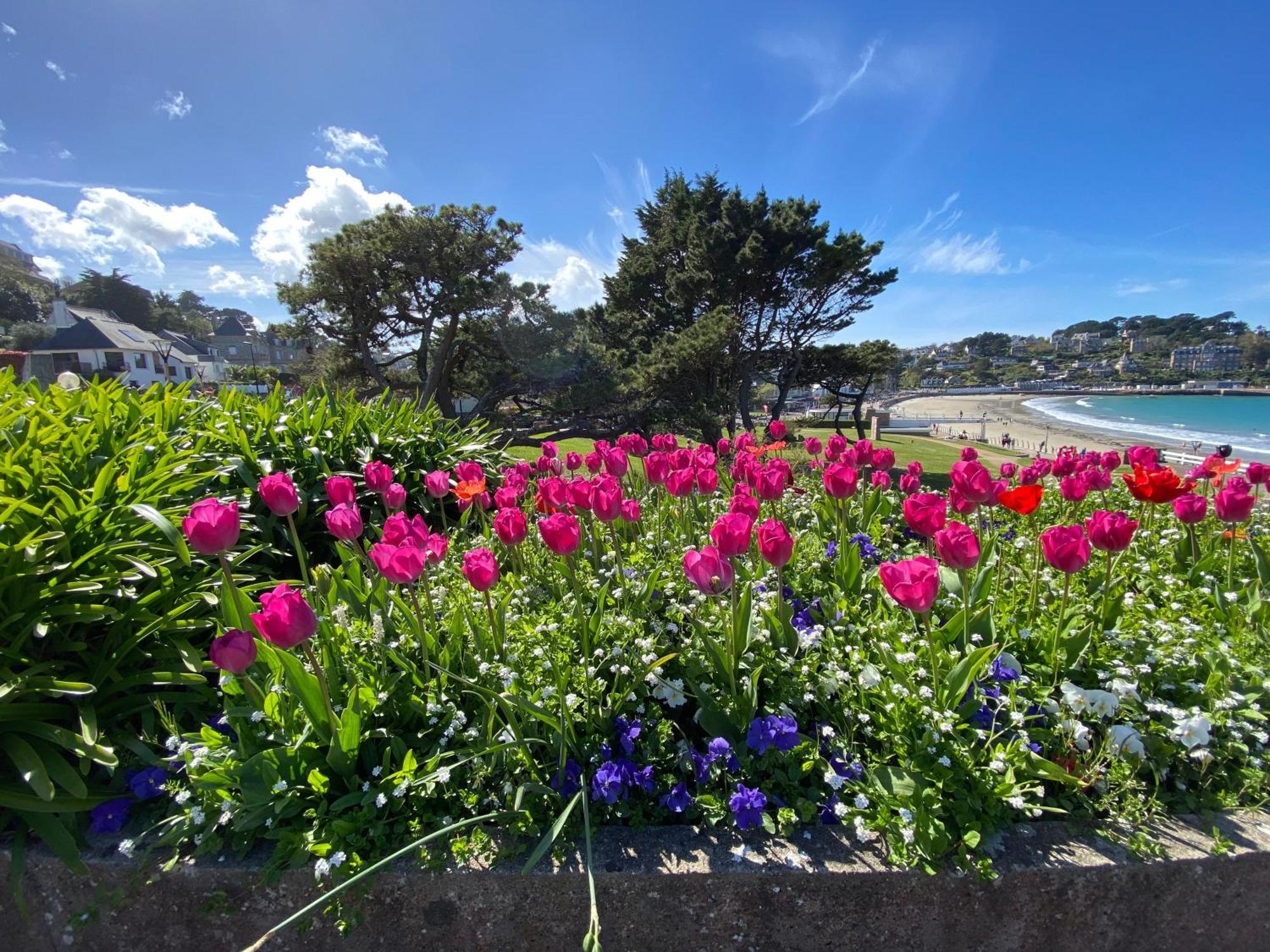 Coeur De Perros-Guirec - Studio エクステリア 写真